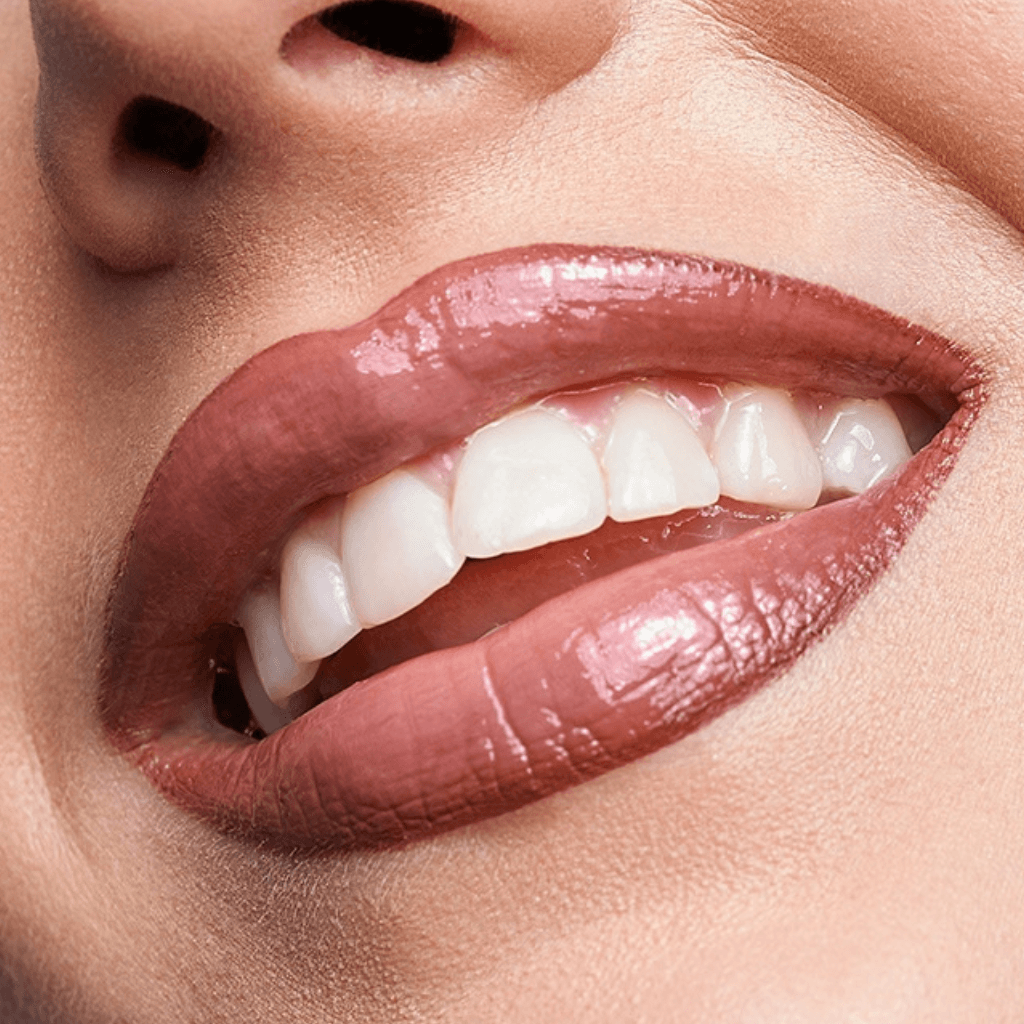 Luxoya x Beauty Maker LipKit | BURGUND-ish
