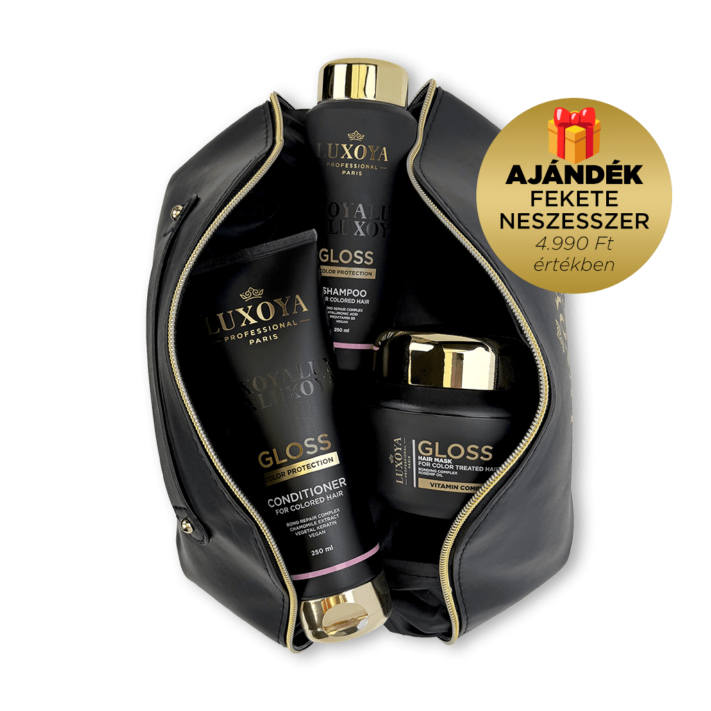 GLOSS Karácsonyi Ajándékcsomag + Ajándék Fekete Neszesszer (festett hajra)