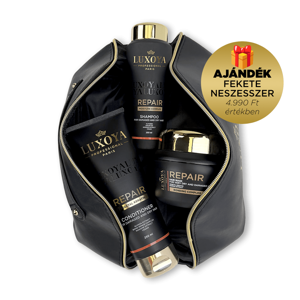 REPAIR Karácsonyi Ajándékcsomag + Ajándék Fekete Neszesszer (száraz és sérült hajra)